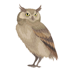 Eagle Owl